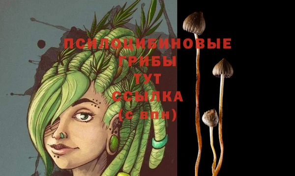 прущий лед Алзамай