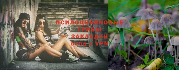 скорость Алексеевка
