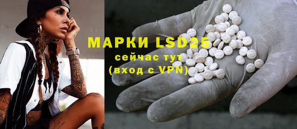 ПСИЛОЦИБИНОВЫЕ ГРИБЫ Абаза
